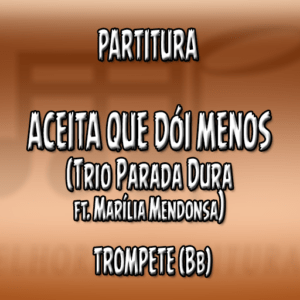 Aceita Que Dói Menos (Trio Parada Dura Part. Marília Mendonsa) Pet (Bb)