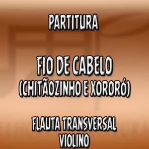 Fio de Cabelo (Chitãozinho e Xororó) - Flauta-Violino (C)