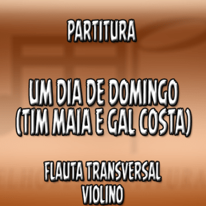Um Dia de Domingo (Tim Maia e Gal Costa) - Flauta-Violino (C)