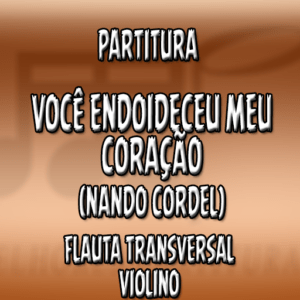 Você Endoideceu meu Coração (Nando Cordel) – Flauta-Violino (C)