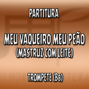 Meu Vaqueiro meu peão (Mastruz com Leite) - Flauta-Violino (C)