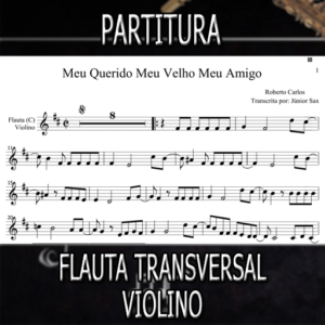 Meu Querido Meu Velho (Roberto Carlos) - Flauta-Violino (C)