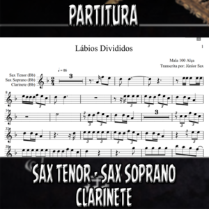 Lábios Divididos (Mala 100 Alça) - Sax Tenor-Soprano-Clarinete (Bb)