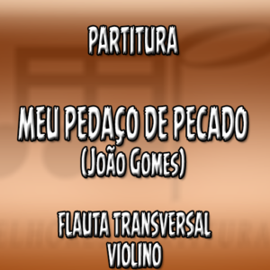 Meu Pedaço de Pecado (João Gomes) - Flauta-Violino (C)