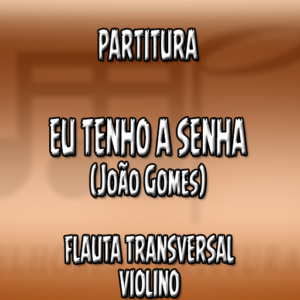 Eu Tenho A Senha (João Gomes) - Flauta-Violino (C)