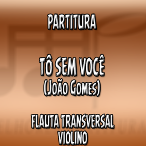 Tô Sem Você (João Gomes) - Flauta-Violino (C)