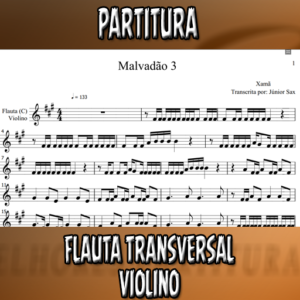 Malvadão 3 (Xamã) – Flauta-Violino (C)