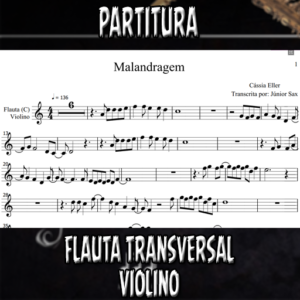 Malandragem (Cássia Eller) - Flauta-Violino (C)