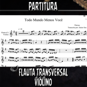 Todo Mundo Menos Você (Patroas) - Flauta-Violino (C)