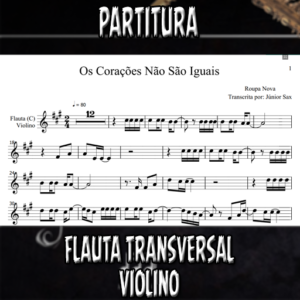 Os Corações Não São Iguais (Roupa Nova) - Flauta-Violino (C)