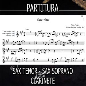 Sozinho (Raça Negra) – Sax Tenor-Soprano-Clarinete (Bb)