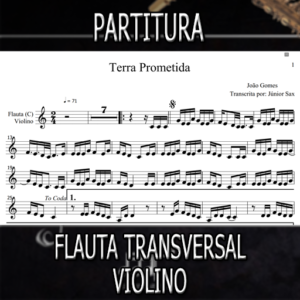 Terra Prometida (João Gomes) - Flauta-Violino (C)