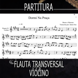 Dormi Na Praça (Bruno e Marrone) – Flauta-Violino (C)