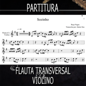 Sozinho (Raça Negra) – Flauta-Violino (C)