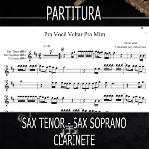 Pra Você Voltar Pra Mim (Flávio José) - Sax Tenor-Soprano-Clarinete (Bb)