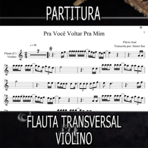 Pra Você Voltar Pra Mim (Flávio José) - Flauta-Violino (C)