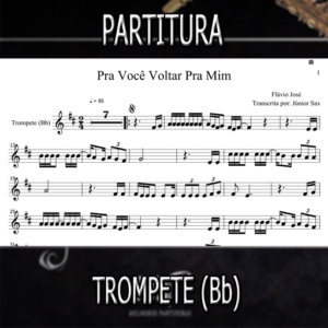 Pra Você Voltar Pra Mim (Flávio José) - Trompete (Bb)