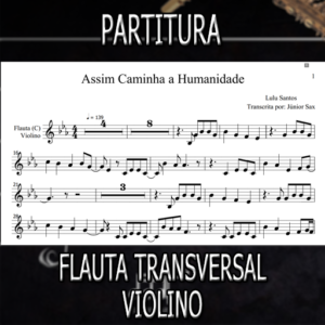 Assim Caminha a Humanidade (Lulu Santos) – Flauta-Violino (C)