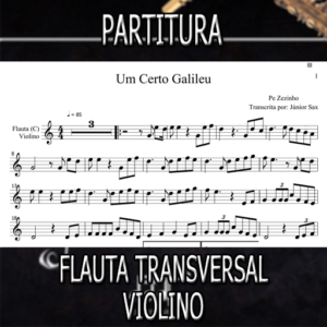 Um Certo Galileu (Pe Zezinho) – Flauta-Violino (C)