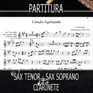 Canção Agalopada (Zé Ramalho) – Sax Tenor-Soprano-Clarinete (Bb)