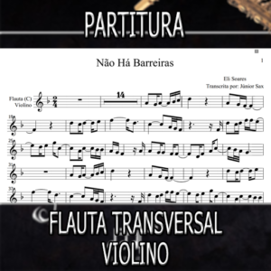Não Há Barreiras (Eli Soares) – Flauta-Violino (C)