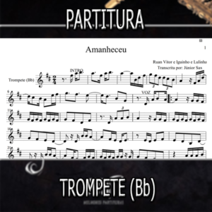 Amanheceu (Ruan Vitor e Iguinho e Lulinha) – Trompete (Bb)