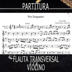Partitura Por Enquanto (Cássia Eller) Flauta-Violino