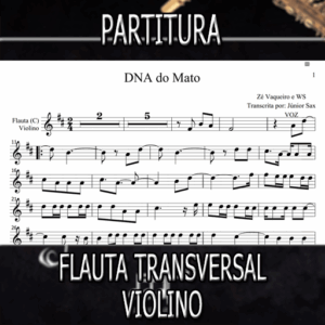 Partitura DNA do Mato (Zé Vaqueiro) Flauta-Violino