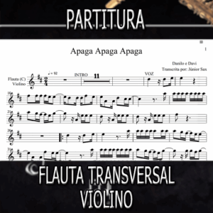 Apaga Apaga Apaga (Danilo e Davi) – Flauta-Violino (C)