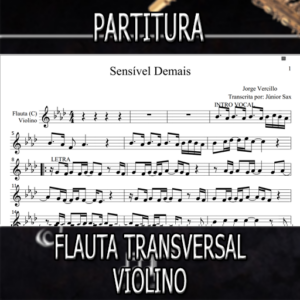 Sensível Demais (Jorge Vercillo) – Flauta-Violino (C)