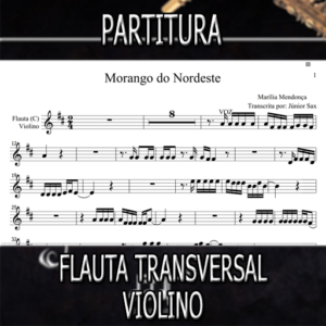 Morango do Nordeste (Marília Mendonça) – Flauta-Violino (C)